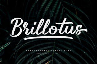 Brillotus: A Handwritten Font for Authentic Brand Campaigns