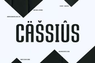 Cassius Bold Sans Serif Typeface for High-Impact Digital Campaigns