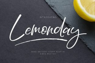 Lemonday Typeface: Adding Personality to Campaign Visuals
