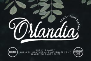 Orlandia: The Delicate Script Handwritten Font
