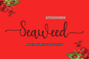 Seaweed Font Review: A Modern Handwritten Choice