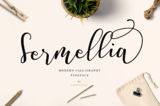 Sermellia Handwritten Font for Elegant Web Design