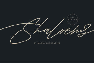 Shaloems: A Fun Script Handwritten Font for Creative Branding