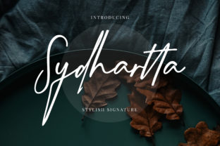 Sydhartta Typeface Review: Adding Organic Flow to Brand Identity