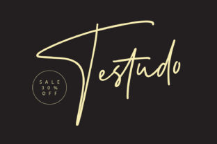 Testudo: Bold Handwritten Fonts for Scroll-Stopping Visuals